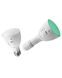 AgroLED Green Flashlight/Lamp 