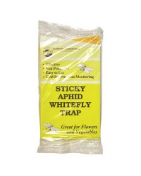 Sticky Whitefly traps